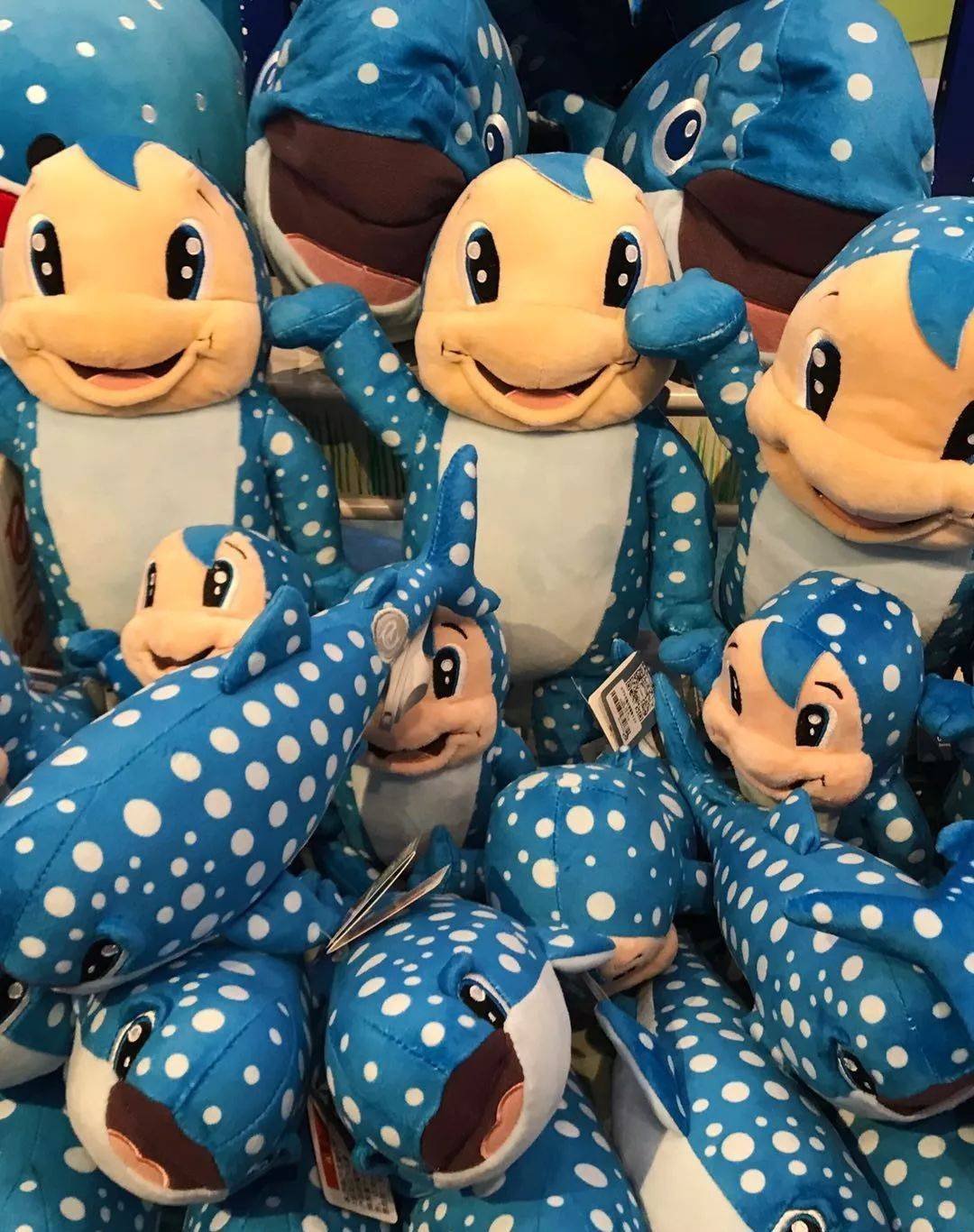 珠海长隆海洋王国附近住宿攻略,珠海长隆海洋王国三人住两天一夜