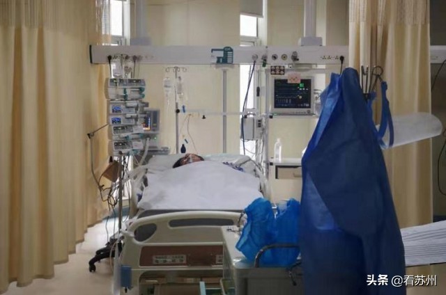 江苏男子投喂流浪狗狂犬病,喂流浪狗被咬狂犬病