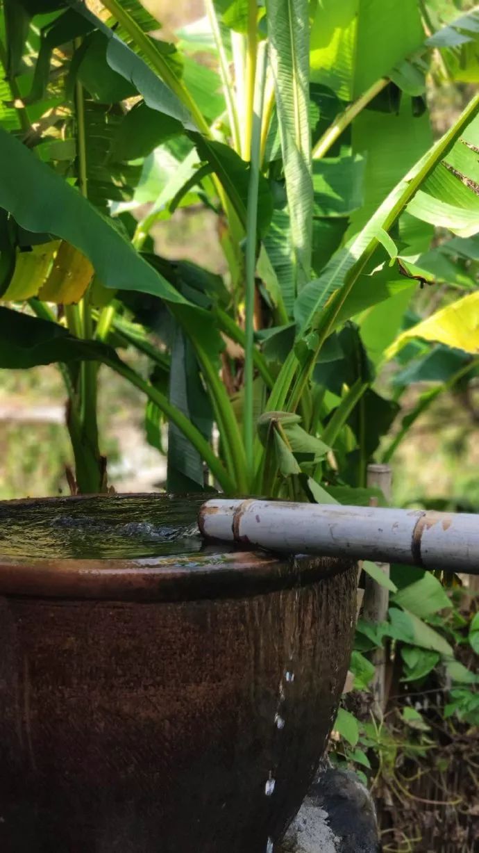 10年前，那个花83元穷游*藏西**的姑娘，后来怎么样了？