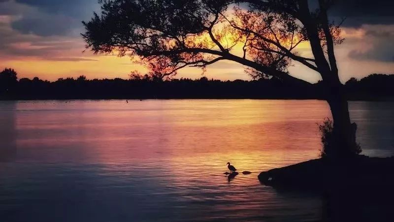 赞别人拍的照片,你用手机拍过哪些最美的照片