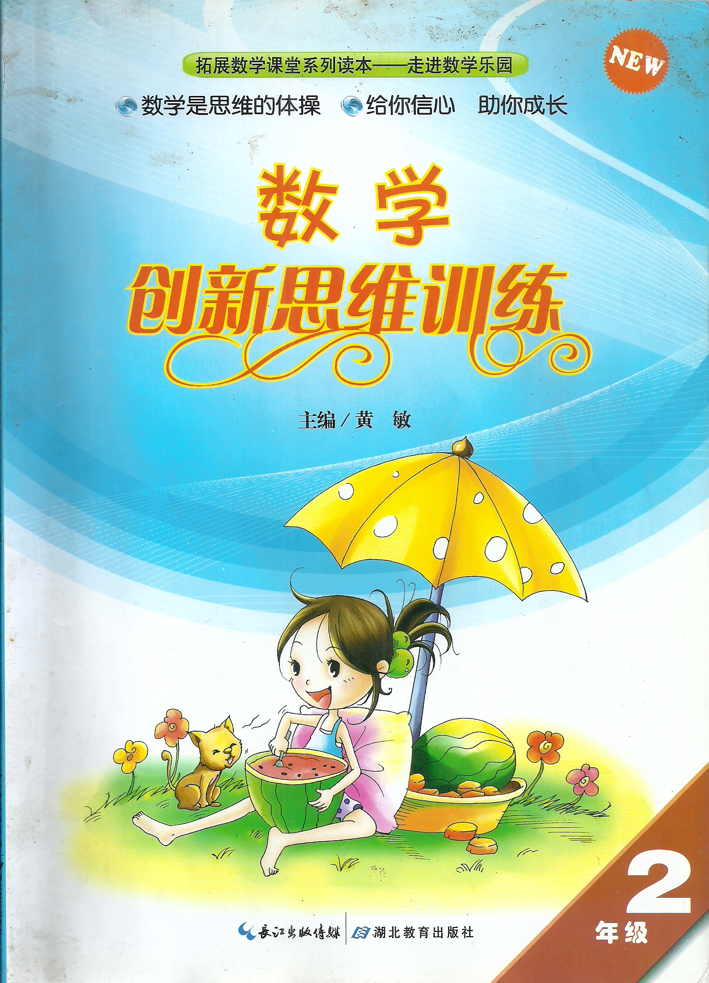 小学生自学奥数书籍,适合小学学生奥数培优课本