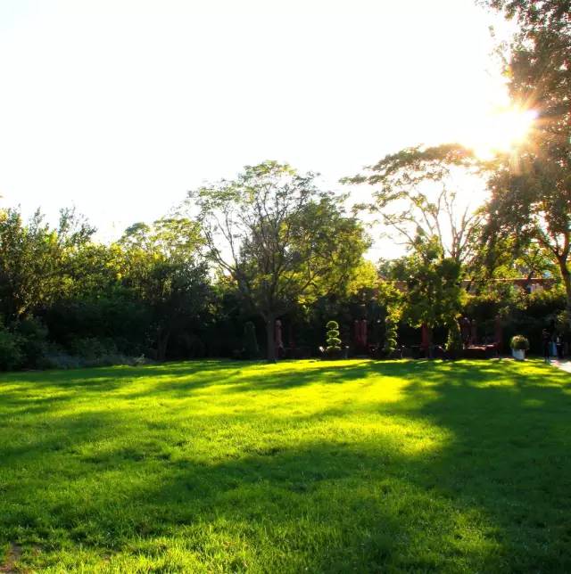 花园草坪怎么种植,花园草坪的种植与养护经验大总结