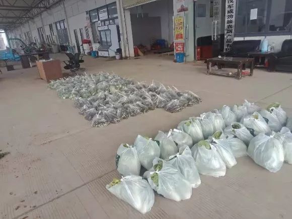 碧桂园物业震撼全城,碧桂园物业为你守家园