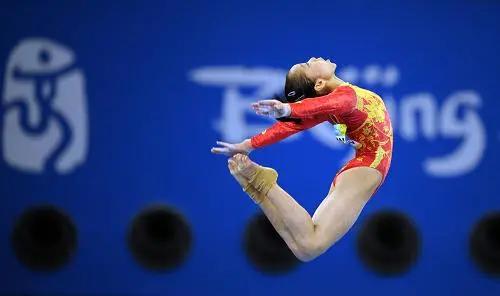 怎么才能看东京奥运会,怎么查看东京奥运会排名表