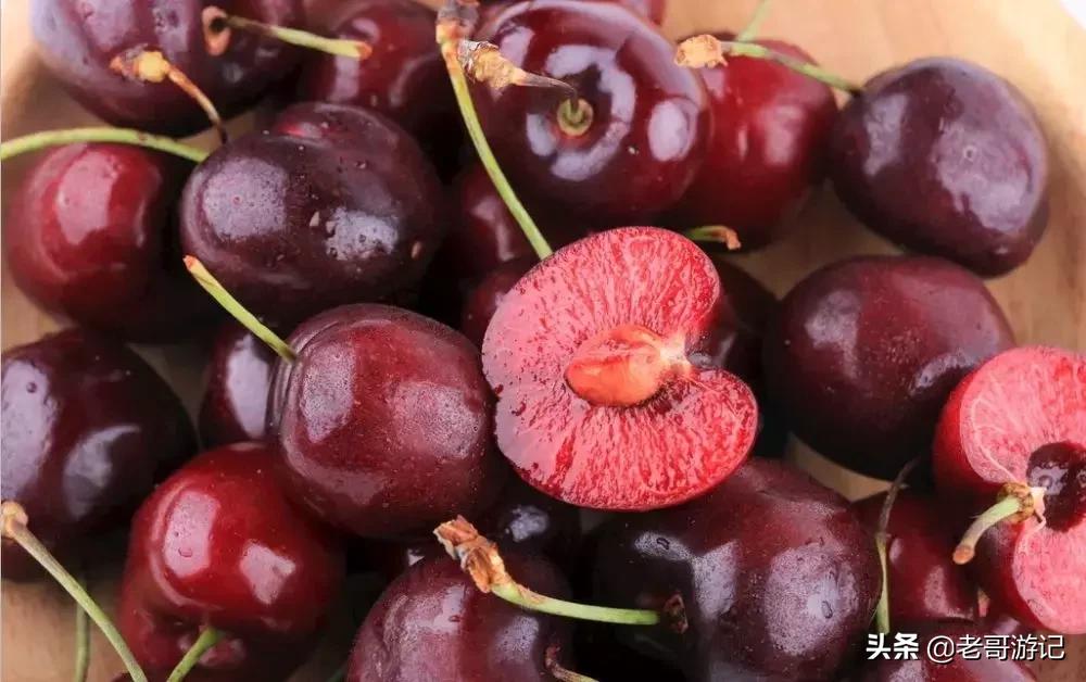 海阳小樱桃采摘季节,乳山市的大樱桃能摘吗