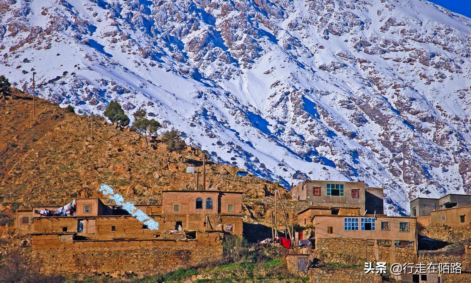 气候变暖引起的冰川变化,冰川大面积变暖