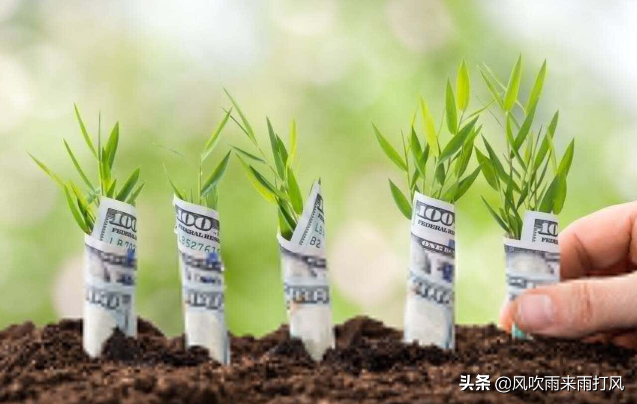 股市成长记完整视频,股票成长记