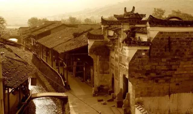 武夷岩茶十大热点问题,武夷山的热门话题