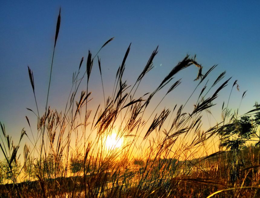 「词风雅韵」李瑾｜一剪梅二十阕