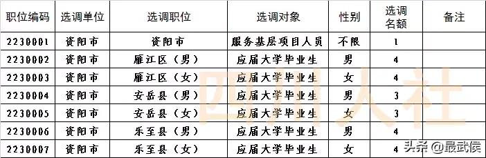 四川选调生2024公告职位表,四川选调生2024选调公告条件