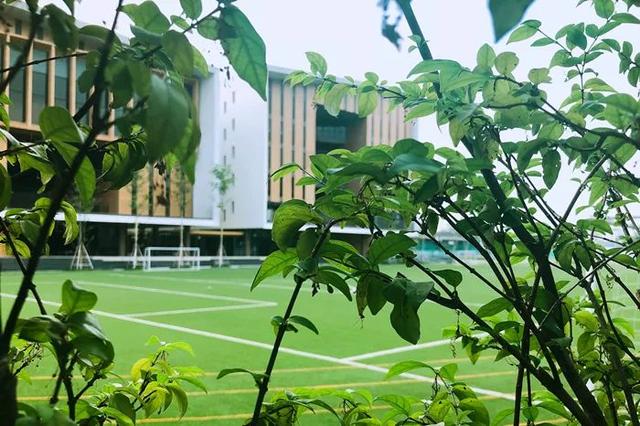 泰国教育水平世界排名,泰国的教育现状如何