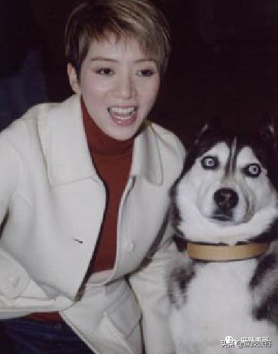 每月生活费10万,梅艳芳母亲哭穷