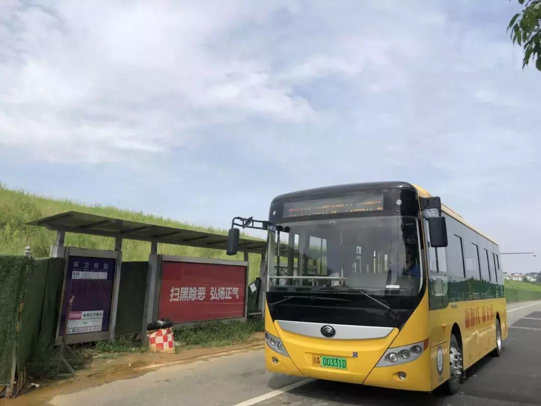 双流空港花田最新进展,双流空港花田开放了吗最新回复