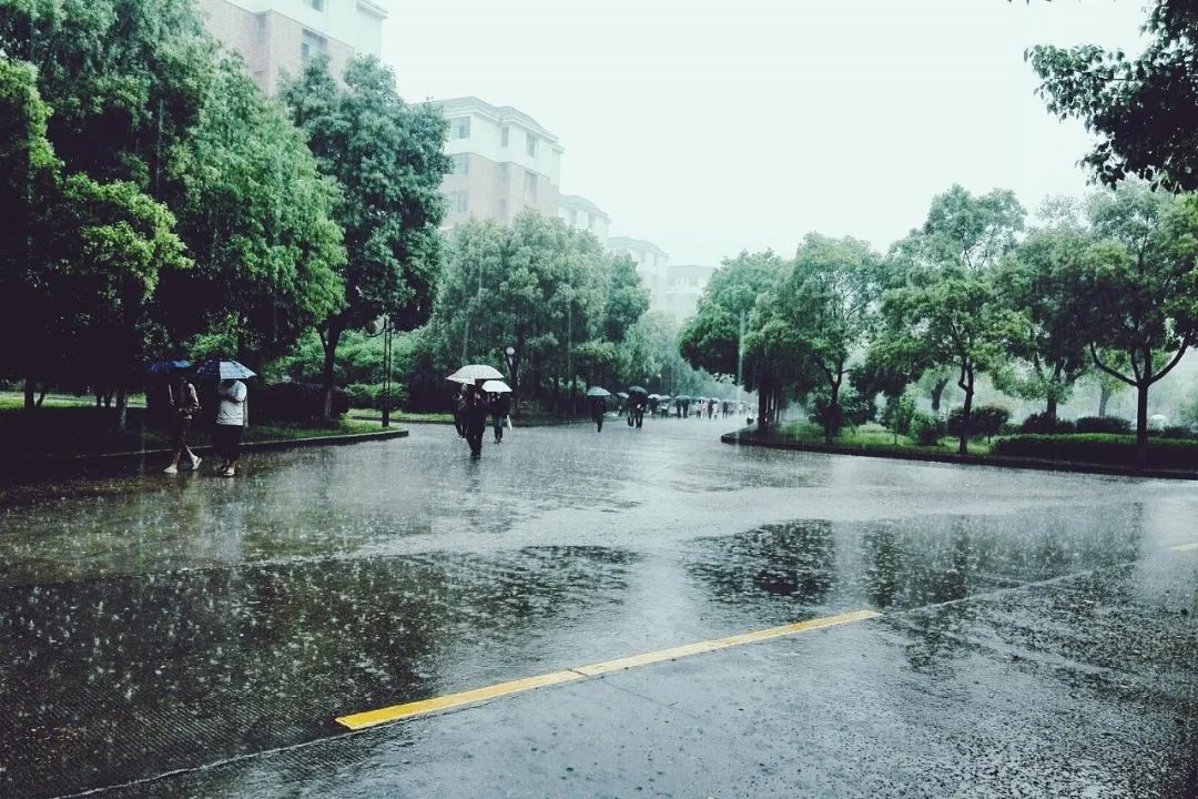 难忘过去，常忆往事：“我与表姑的故事”