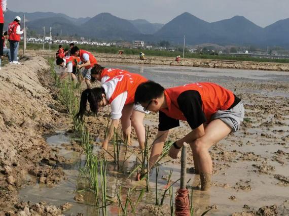 喜迎雷锋月主题党日活动,雷锋月主题党日活动实施方案