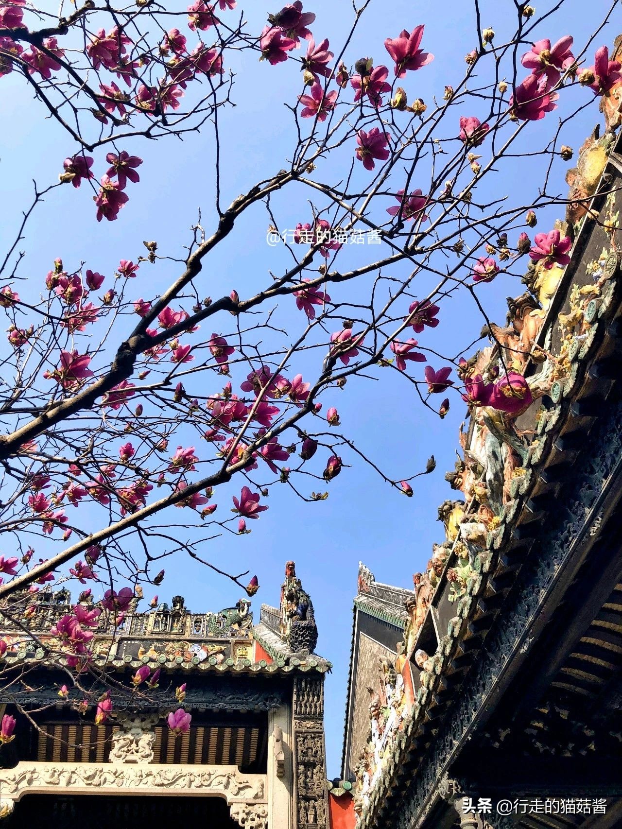 广州旅行留给我的八个印象，客观地说说自己的真实体验