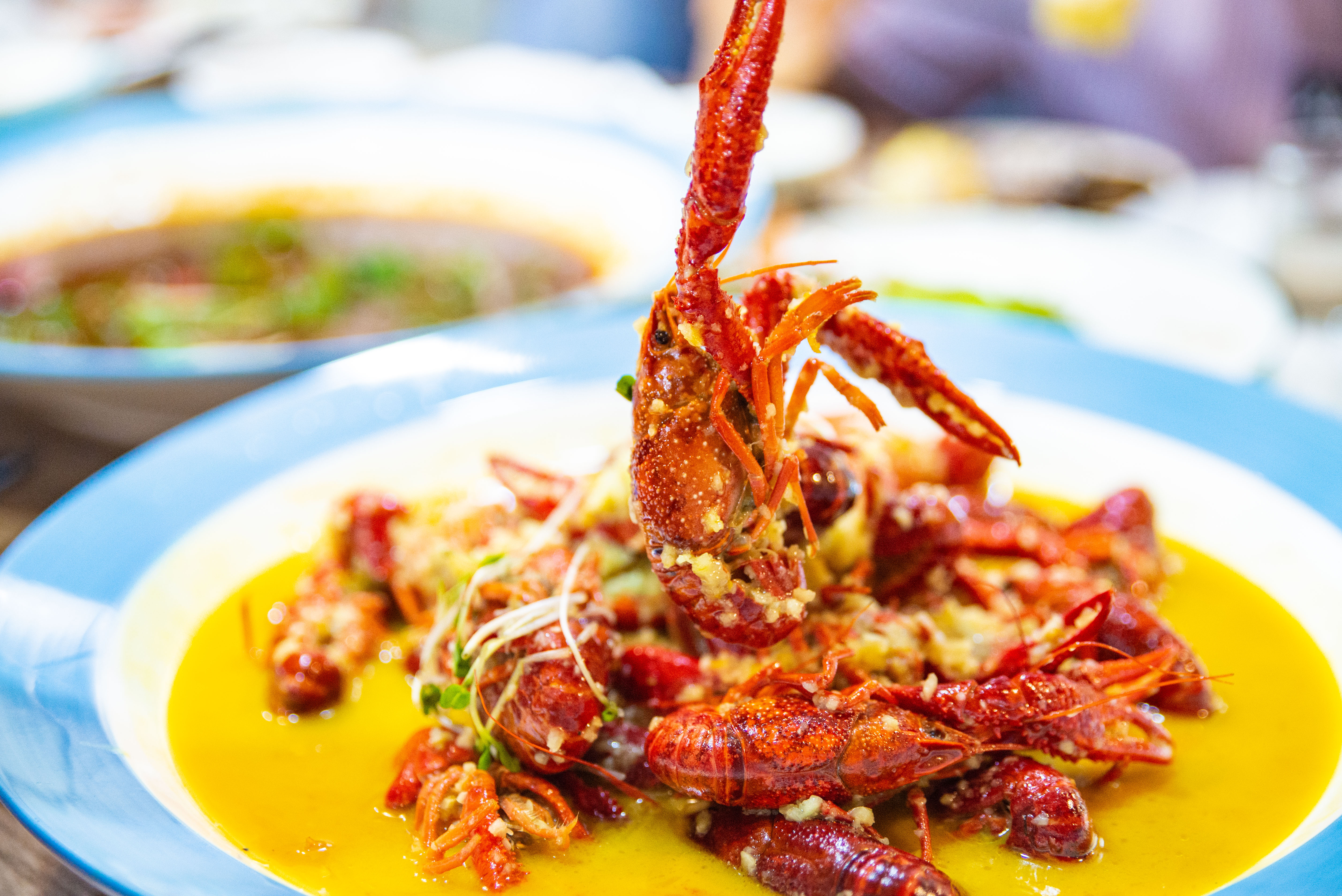 监利县小龙虾主要集中在哪些乡镇,湖北监利小龙虾产量排名