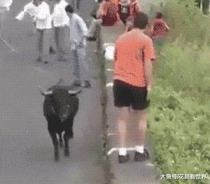 搞笑gif开心,搞笑gif开心视频