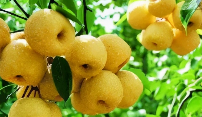 灞辫タ鐗逛骇鐢靛晢骞冲彴,灞辫タ鐗逛骇鐢靛晢