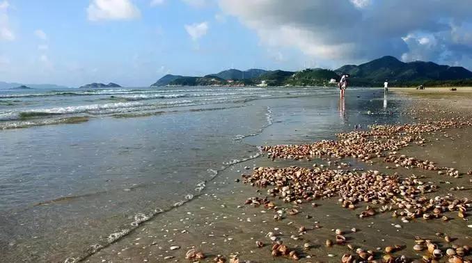 广东鼓浪屿,鼓浪屿成了世外桃源