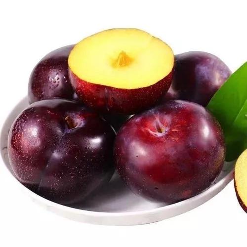 各种常吃水果名和图片,喜欢吃水果了解水果种类