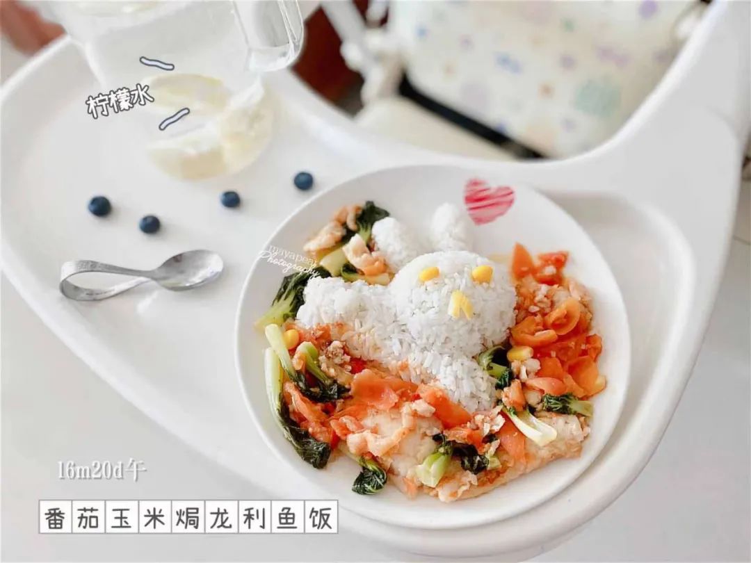 适合婴儿吃的胚芽米推荐,辅食胚芽米推荐老爸评测