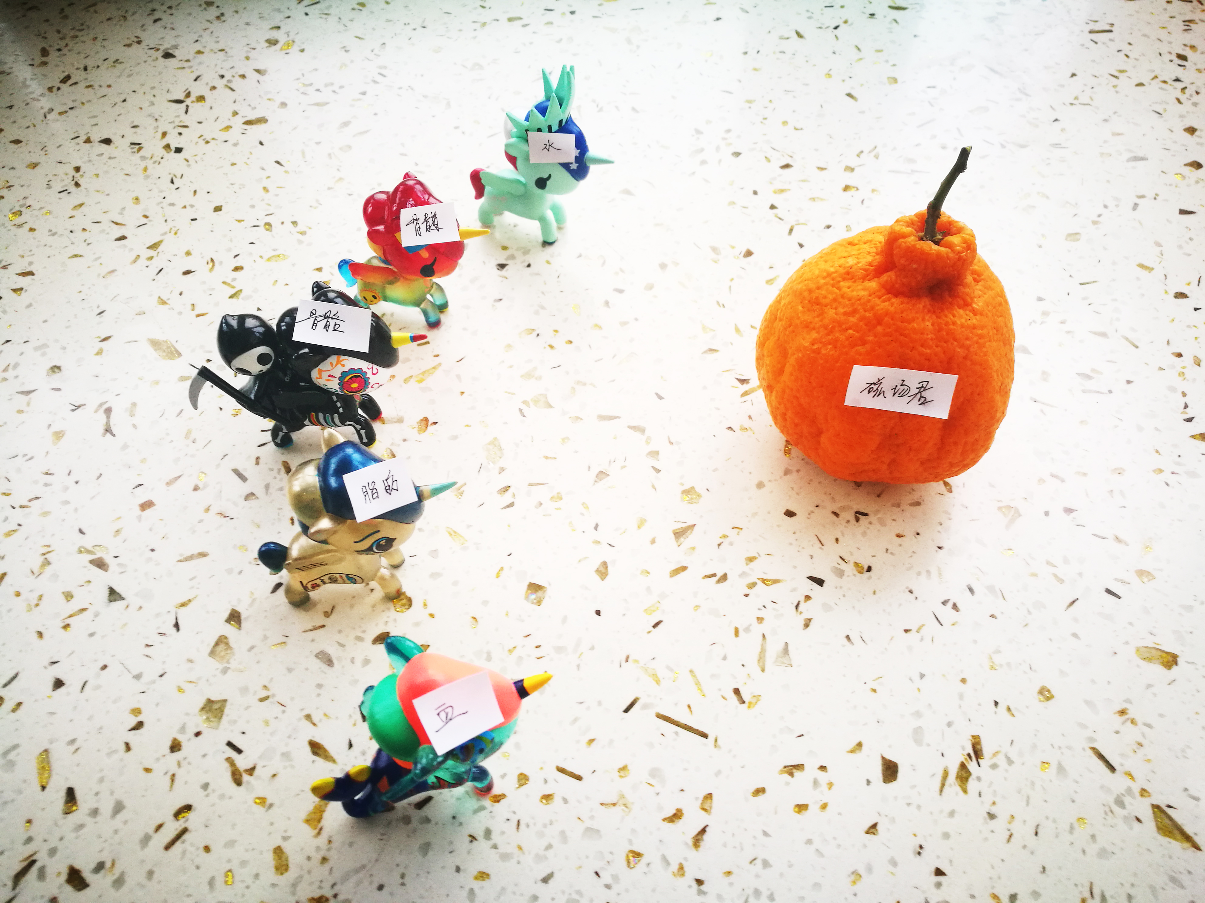 膝关节核磁共振报告单上怎么看,膝关节核磁正常报告单