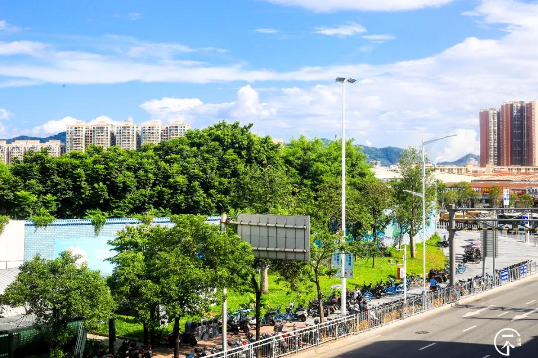 深圳“厂妹”村：租客月入4000，房租500