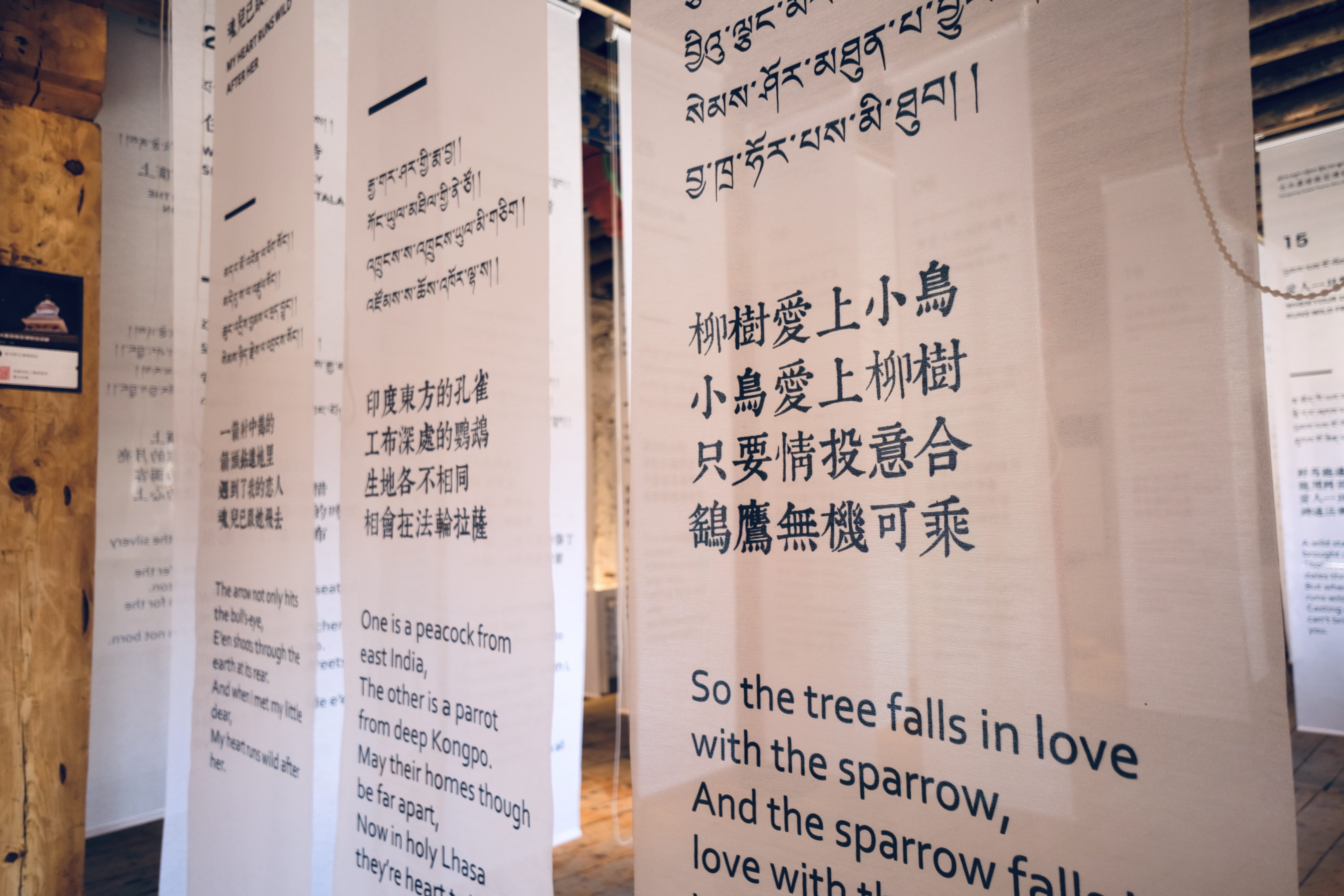 丁真的故乡理塘,丁真的故乡完整版