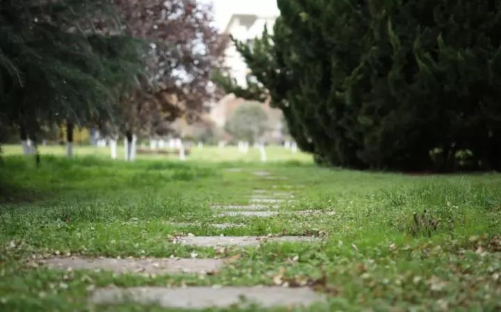 西安外国语大学博士点,西安外国语大学高职部