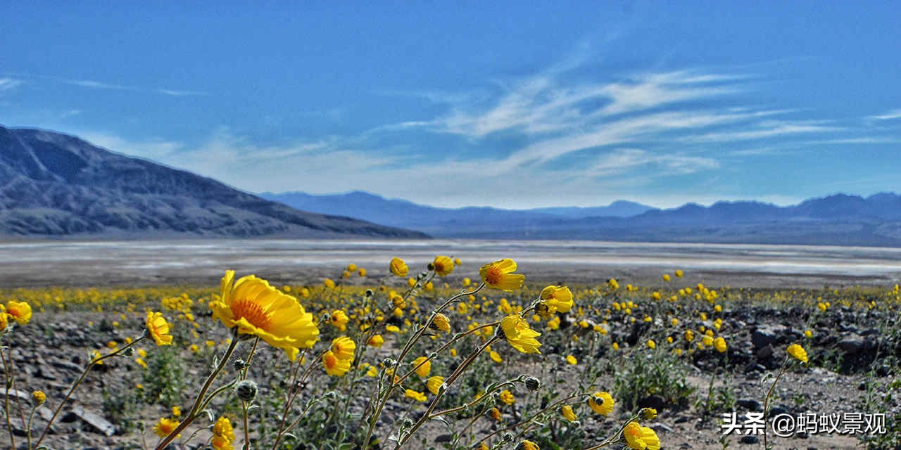 电影蒙太奇的理解,蒙太奇知识