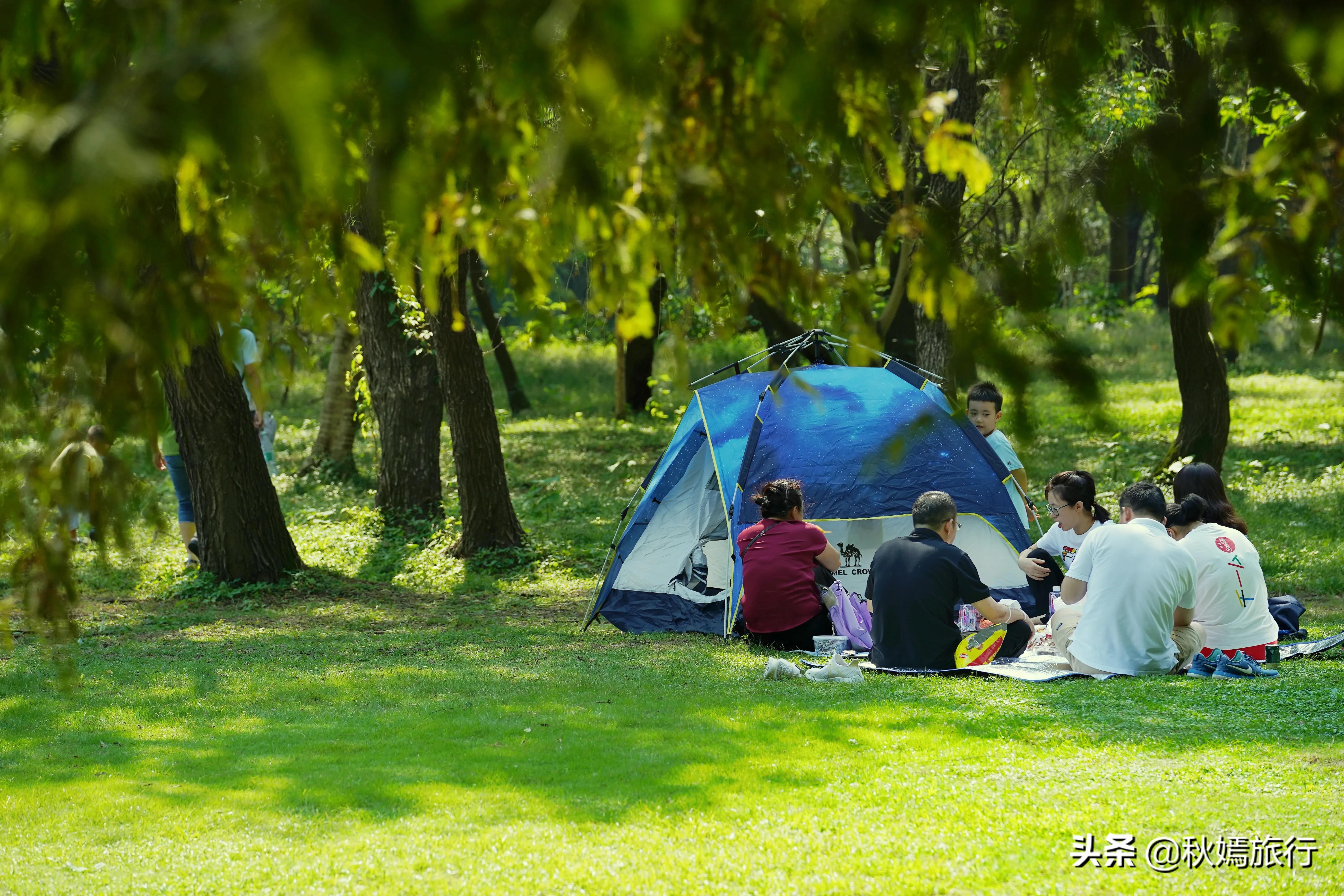 苏州吴中太湖新城苏州湾湿地公园,苏州湿地免费公园虎丘