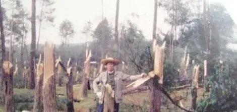 ufo真的存在了吗,ufo是不是真实存在