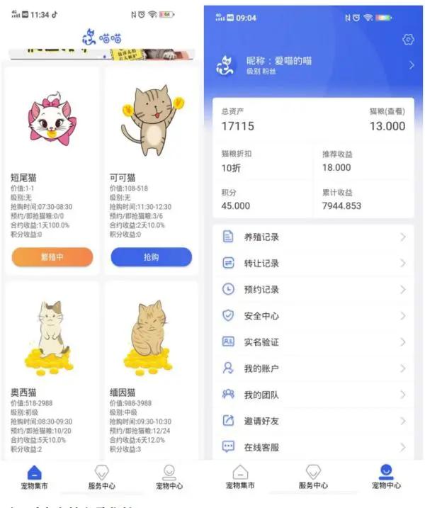 网上养猫还能赚钱,网上养猫挣钱