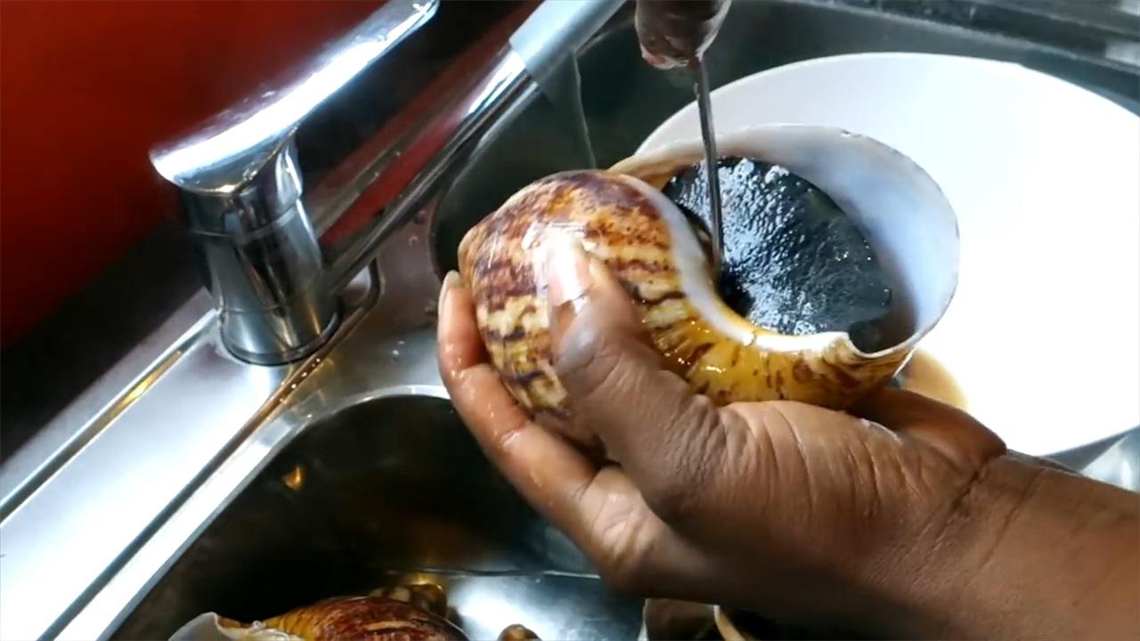 非洲蜗牛足有2斤重,入侵我国多年,云南河口被迫更换蔬菜品类