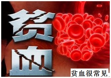 铁剂有多少种品牌,进口铁剂什么牌子的好