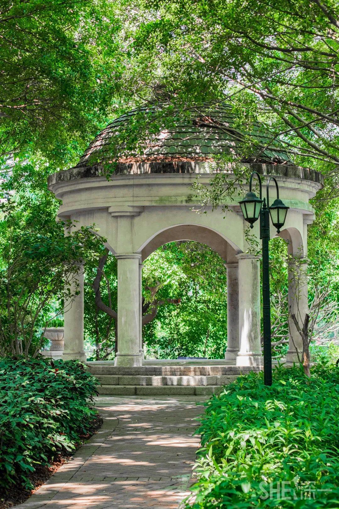 深圳旅游攻略地铁沿线景点,深圳市地铁2号线打卡的24个景点