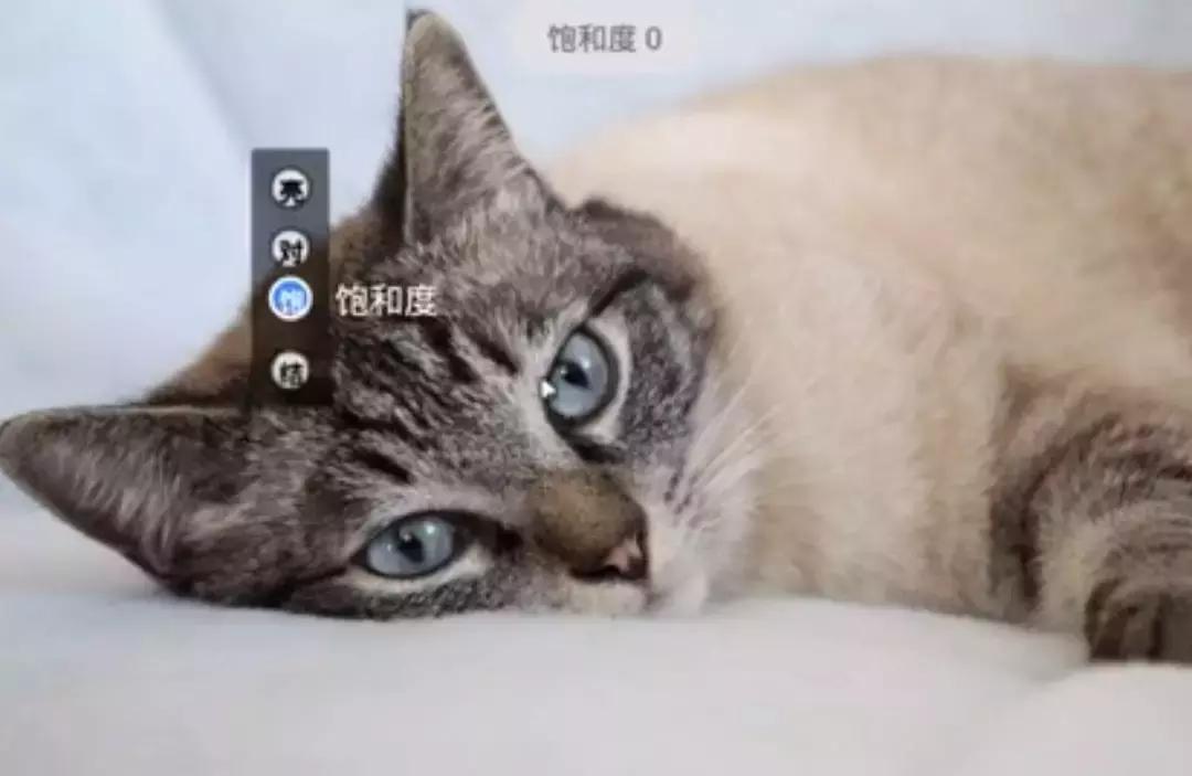 有逼格的p图软件,最近朋友圈很火的修图软件