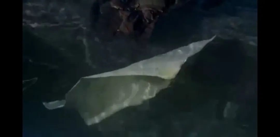 英剧9号秘事全部,英剧9号秘事讲的什么事