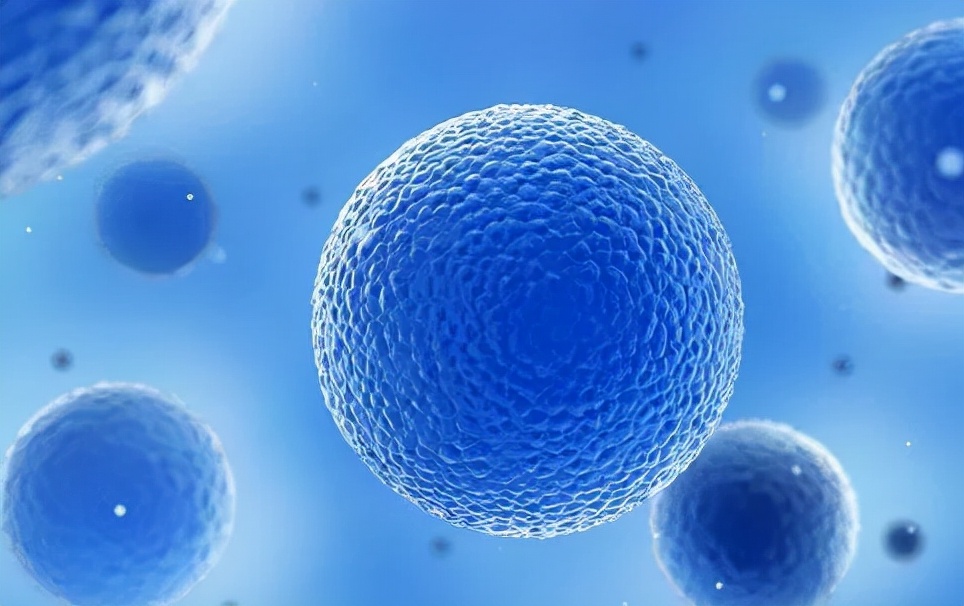 干细胞治肝硬化最新临床研究,干细胞辅助治疗肝病肝硬化