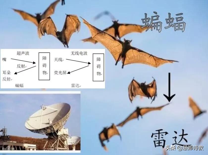 学霸笔记四年级知识点,四上语文第一单元知识点