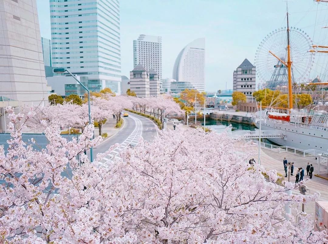 东京自由行最佳攻略详细,东京5日自由行攻略