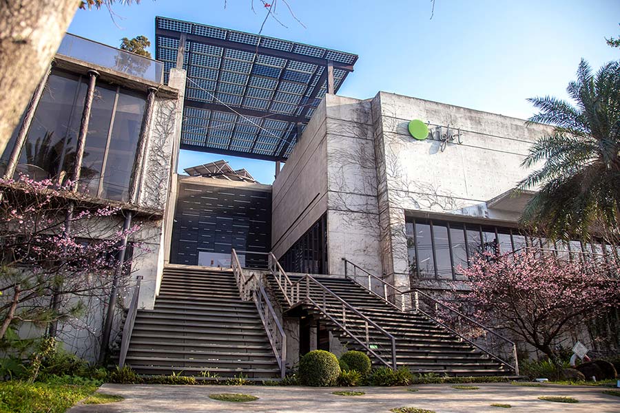 绿色的植物洗发水,绿色农场洗发水好用是真的吗