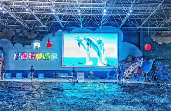 山东海滨城市发展潜力,山东最好的低调小城市