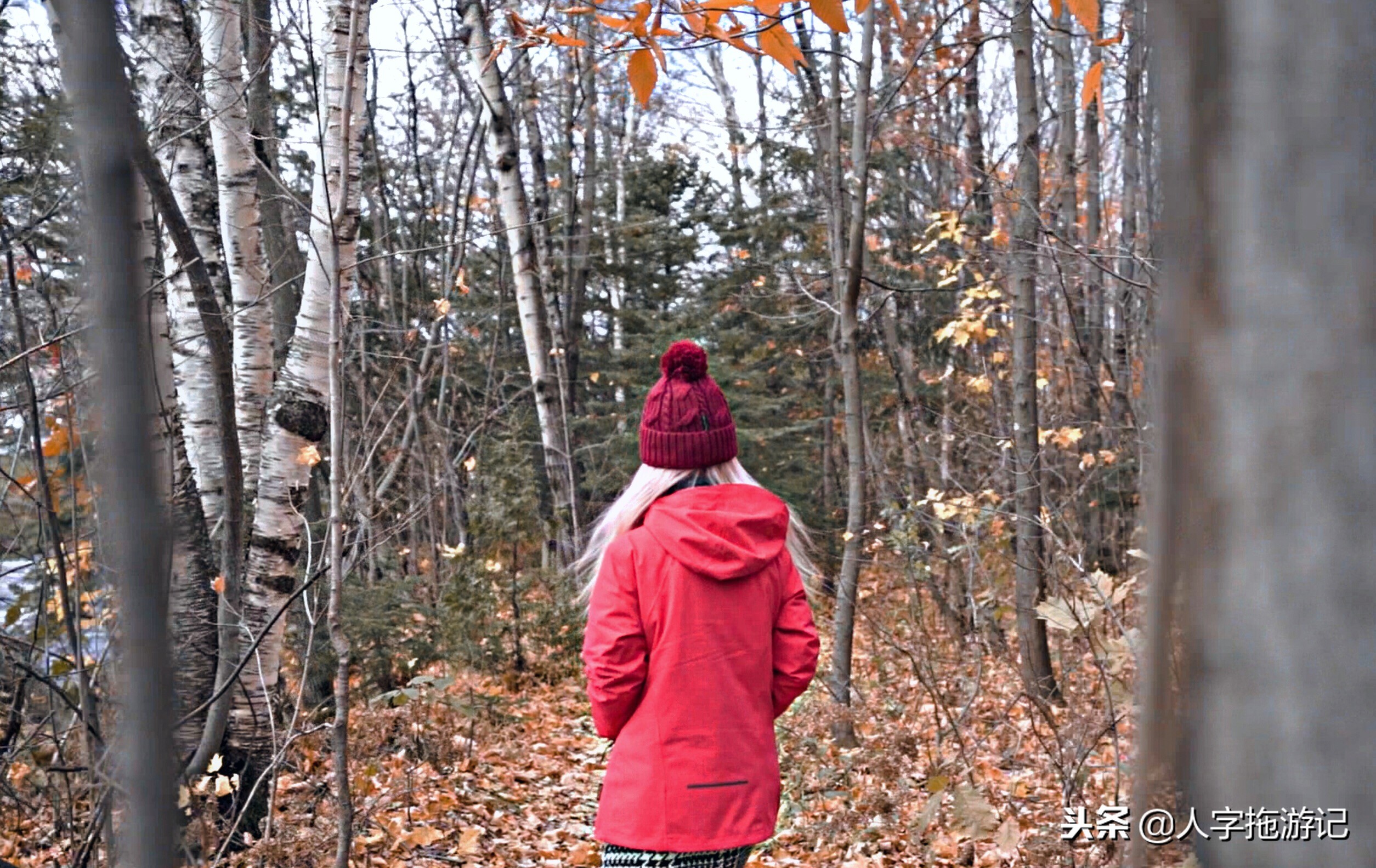 冬日极客，加拿大Wendake穿着狼爪去狼族