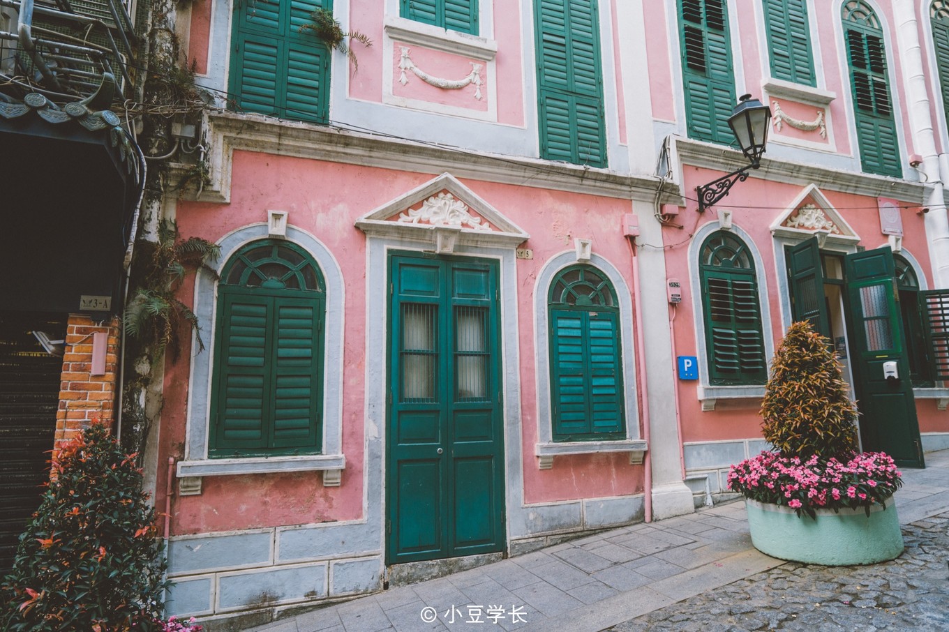 澳门旅游攻略免费吃喝,去澳门哪里有免费吃喝