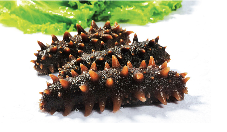 滋阴补肾吃海参可以吗,男人吃海参补肾吗有效果吗