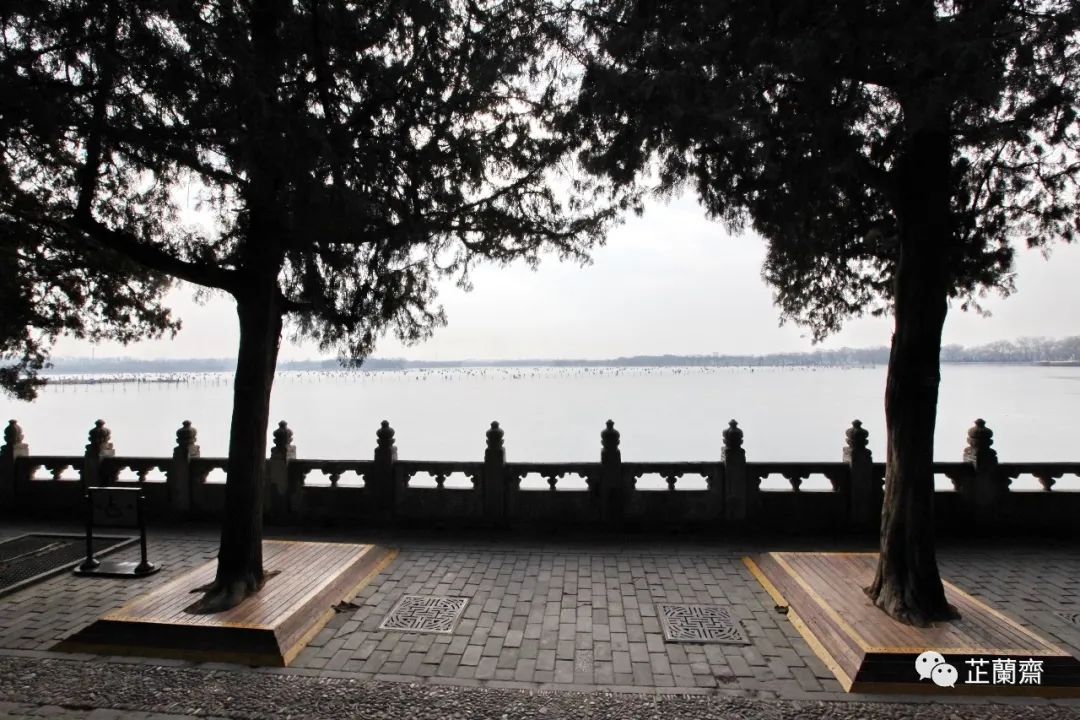 觅画记之黄宾虹,觅画记冷枚