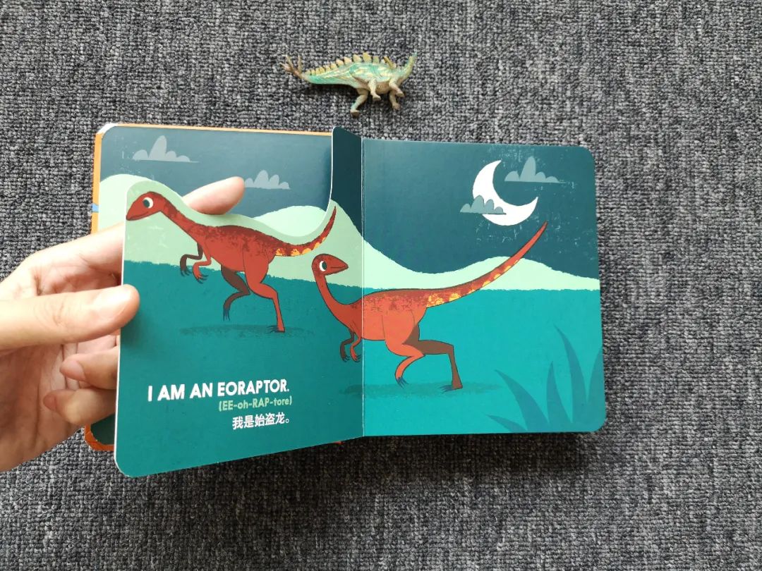 适合孩子看的恐龙科普书,适合5岁孩子看的恐龙科普书