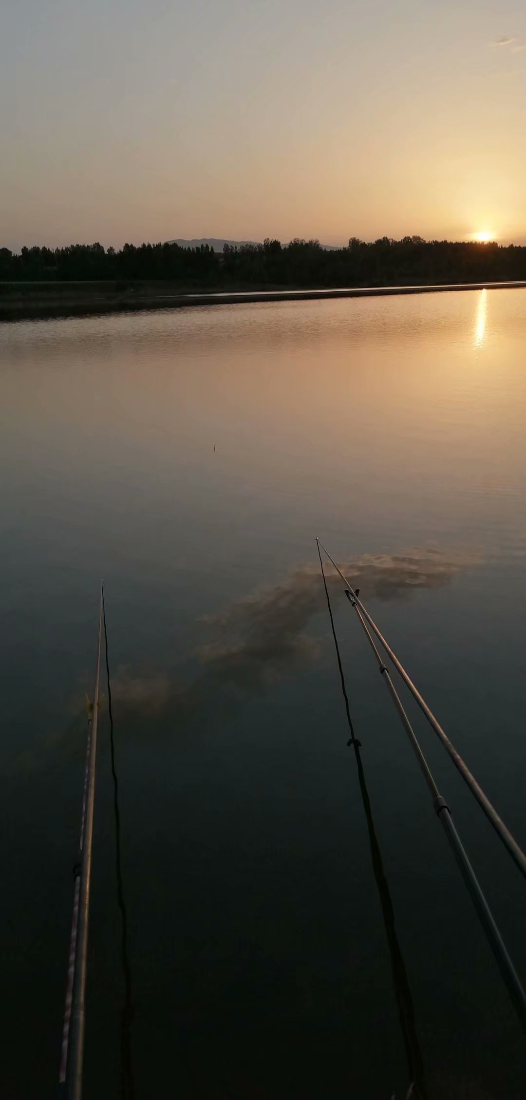 窝米正确打窝方法图解,打窝子的正确方法和技巧